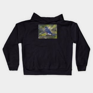 Female Eastern Bluebird Kids Hoodie